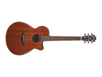 Ibanez AEG220-LGS Ibanez AEG220-LGS
